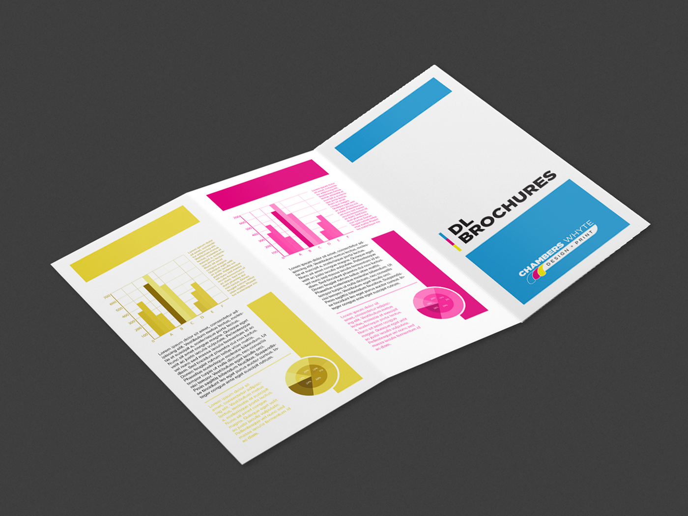 DL Trifold Brochures (A4 folded to DL)